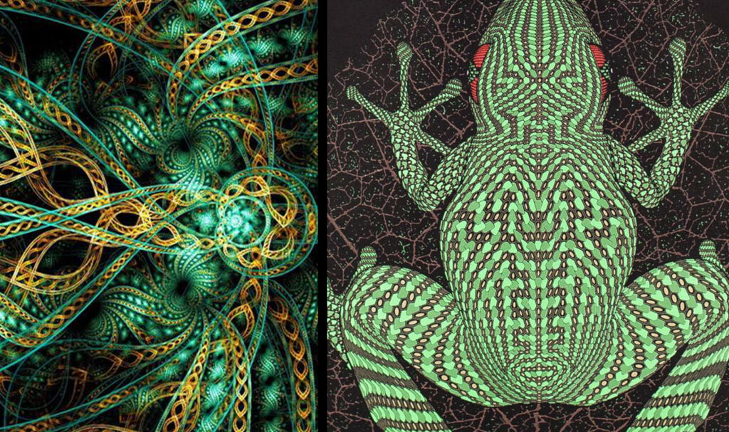 The programs featured image