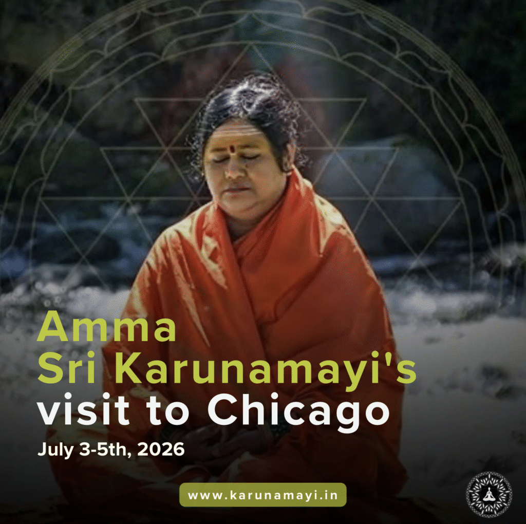 The programs featured image